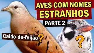 AVES com nomes ESTRANHOS parte 2 Por que rolinha CALDODEFEIJÃO Galinha de índio Tempera Viola [upl. by Nolrak]