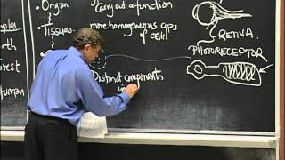 Types of Organisms Cell Composition excerpt 1  MIT 701SC Fundamentals of Biology [upl. by Hamforrd192]