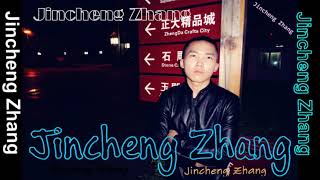 Jincheng Zhang  Intensive Instrumental Version Background Official Audio [upl. by Ylrak]