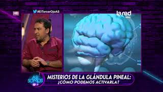 ¿Cómo activar la glándula pineal [upl. by Jehovah495]