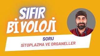 SORU ÇÖZÜMÜ Organeller Sıfır Biyoloji  Dr Biyoloji [upl. by Ibbison]