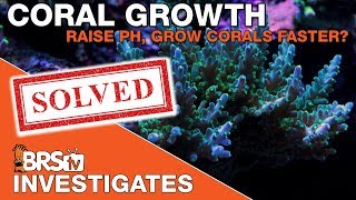 Reef Tank pH benefits of raising saltwater aquarium pH  BRSTV Investigates [upl. by Eidson]