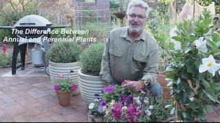 What is the Difference Between Annual and Perennial Plants [upl. by Zebada553]