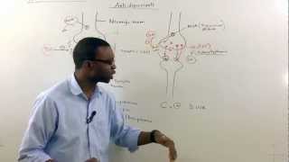 Tricyclic antidepressants TCA Pharmacology [upl. by Lehsar646]