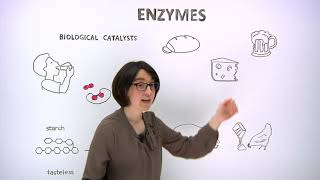 What are enzymes [upl. by Ymmat248]