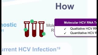 Hepatitis C Virus From Screening to Cure [upl. by Atikram]