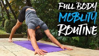 15 Minute Full Body Mobility Routine FOLLOW ALONG [upl. by Casandra819]