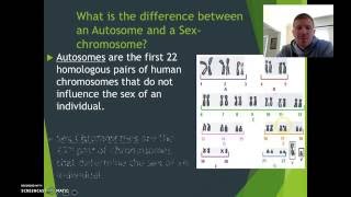 Autosomes V Sex Chromosomes  Mr H [upl. by Latoya5]