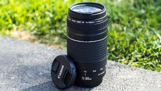 5 Reasons Why You SHOULD Consider The Canon 75300mm Lens [upl. by Neelyt386]