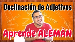 Aprende Aleman A2  DECLINACION de adjetivos  nominativo acusativo y dativo [upl. by Eelta]