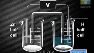 Electrochemical Cells The Standard Electrode Potential REDOX [upl. by Niahs]