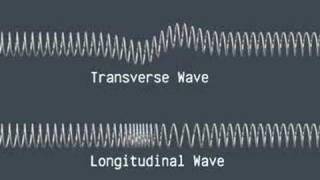 Transverse and Longitudinal Waves [upl. by Llerehs]