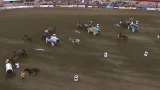 PONOKA STAMPEDE 2024 Day 1 [upl. by Wildon]