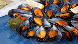 Mejillones al Vapor fáciles y con Truco de sabor  Cocina A Buenas Horas [upl. by Eelynnhoj]