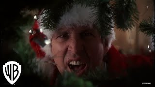 National Lampoons Christmas Vacation  Squirrel Scene  Warner Bros Entertainment [upl. by Dinsdale]