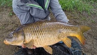 Carp Fishing in Rivers  How to Catch Carp in Rivers  River Fishing for Carp [upl. by Idoc]