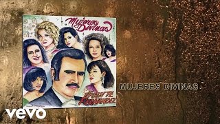 Vicente Fernández  Mujeres Divinas Cover Audio [upl. by Emaj]