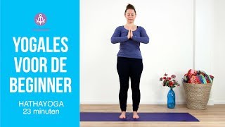 Yogales voor de beginner [upl. by Adniroc]