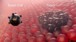 What Causes Cancer  Central Principles of Molecular Biology [upl. by Dulcea]