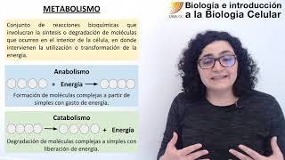 45 Biología celular Generalidades del metabolismo [upl. by Laniger]