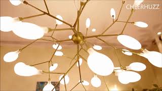 Heracleum II LED Suspension —— Cheerhuzz [upl. by Kaja]