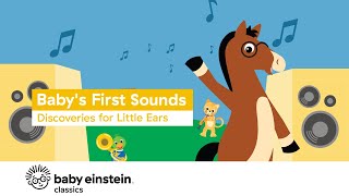 Babys First Sounds Discoveries for Little Ears  Baby Einstein [upl. by Cnahc]