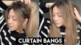 HOW TO CUT CURTAIN BANGS  Easy to follow [upl. by Ahtnama]