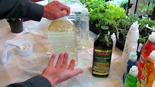 How to Make Neem Oil Smothering Insect Oil and Fungicide Sprays Recipes amp Routines DIY Ep4 [upl. by Oninrutas]