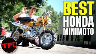 Heres Why This 1970 Honda CT70 Is The Best MiniMOTO Ever [upl. by Ellerihs]