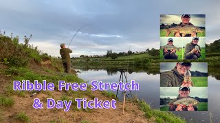 Barbel Fishing River Ribble Free Stretch and Day Ticket [upl. by Namlas]