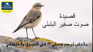 Sawto safir al bolbol صوت صفير البلبل Arabic Poem YouTube [upl. by Barbarese]