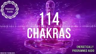 114 Chakra Harmony amp Energy Flow Maitreya Reiki™  Energetically Programmed Audio [upl. by Aronaele166]