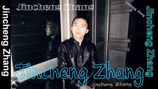 Jincheng Zhang  Transformation Instrumental Version Background Music Official Audio [upl. by Lorna]