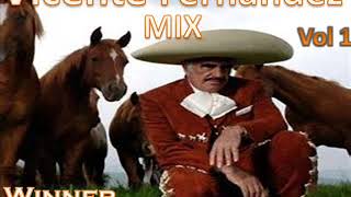 VICENTE FERNANDEZ MIX PURO DESPECHO [upl. by Mikihisa735]