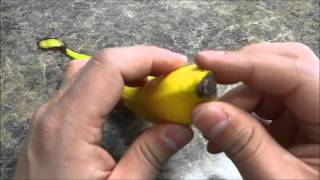 How To Peel A Banana PROPERLYTutorial [upl. by Art]