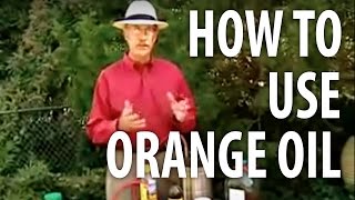 How To Use Orange Oil  The Dirt Doctor [upl. by Nawuj]