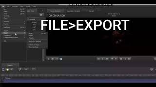 SFM How to Export an Animation [upl. by Ykcaj]