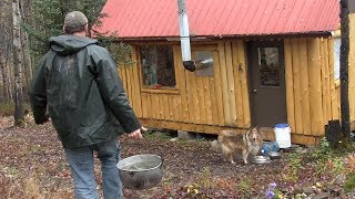 Life in an Off Grid Cabin [upl. by Anilek89]