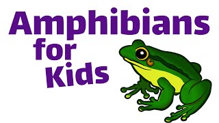 Amphibians For Kids [upl. by Carrillo]