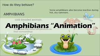 AMPHIBIANS Biology Animation [upl. by Osithe]