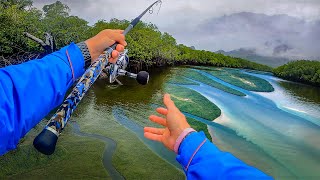 Fishing Hinchinbrook mangroves Barramundi and Mangrove Jack [upl. by Courtney]