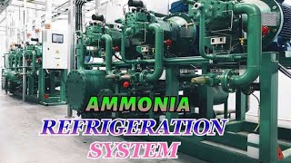 Ammonia Refrigeration System  How Its Work [upl. by Ahsillek303]