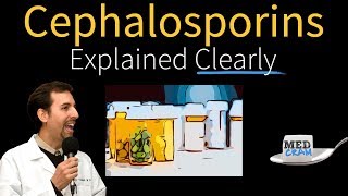 Cephalosporins  Antibiotics Explained Clearly [upl. by Amol378]