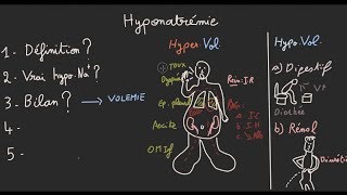 Hyponatrémie en 5 étapes  Docteur Synapse [upl. by Hairahcaz]