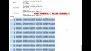 How to Design Primer Sequences for PCR [upl. by Enner]