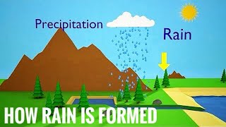 how rain is formed  water cycle Animation [upl. by Sollie]