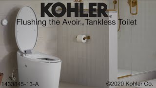 Flushing the Avoir Tankless Toilet [upl. by Grier]