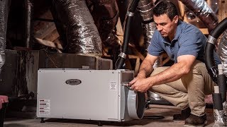 Whole House Dehumidifiers Pros amp Cons  Sylvane [upl. by Niels186]