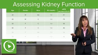 What do the kidneys do Approach 2 [upl. by Enileuqcaj925]