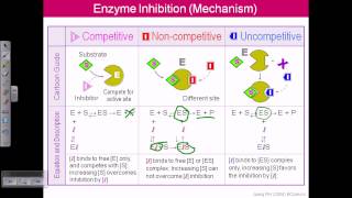 Enzyme inhibition [upl. by Orr260]